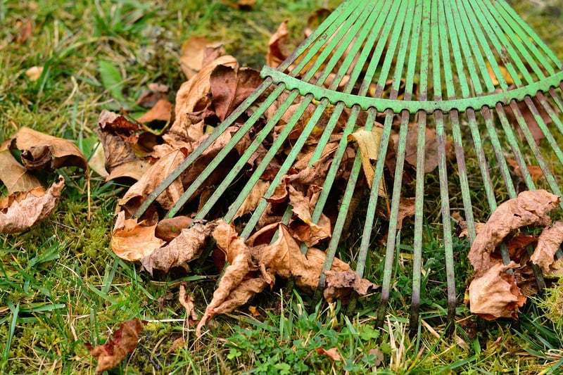 Fall Cleanup